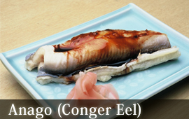Asakusa Mimatsu Sushi Conger eel (anago)